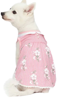 Blueberry Pet Wonderland Floral Sleeveless Dog Dress