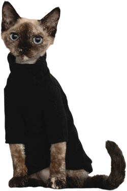 Hairless Cats Clothes, Cotton T-Shirt, Breathable Spring Autumn Vest Cat Wear Turtleneck Shirt Clothes for Sphynx, Cornish Rex, Devon Rex, Peterbald, Hairless Cats Apparel (XL-, Black) XL- BLACK