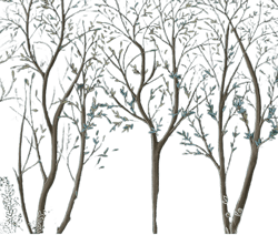 Schumacher Brindille Gold Accented Panel Wallpaper 5010922 / Peacock