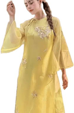 Vietnamese Traditional & Modern Silk Aodai with Linn Embroidery