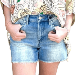 Mica Denim High Rise Frayed Hem Shorts