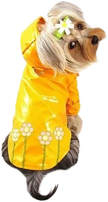Polka Dots and Daisies Dog Raincoat X-Small