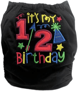 Half Birthday Cloth Diaper - 1/2 Birth Day Embroidered Diaper - WAHM Cloth Diaper - Embroidered Diaper Cover - Custom Pocket Diaper Bloomers