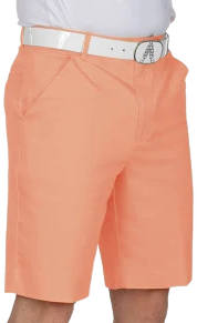 Royal & Awesome Men's Regular Fit Crinkle Free Golf Shorts