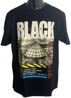 Pyramid Graphic Embroidered Cotton Crewneck T-Shirt