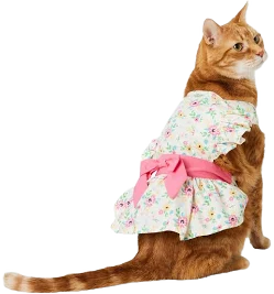 Frisco Dainty Pink Floral Dog & Cat Dress