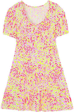 Women's Flamingo Printed Dress