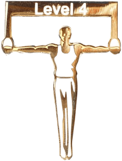 Level 4 Men's Gymnastics Pins