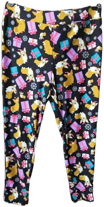 Terra & Sky Multicolor Corgi Dog Print Pull On Stretch Soft Leggings