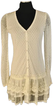 Bohemian Feminine Victorian Sheer Lace Baby Doll Blouse