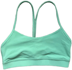 Lululemon Athletica Flow Y Bra