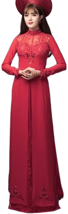 AO Dai with A Delicate Pattern Embroidered