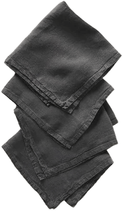 Anthropologie Set of 4 Edison Linen Napkins