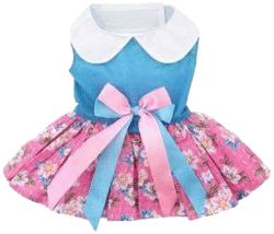 Doggie Design Plumeria Floral Dog Dress