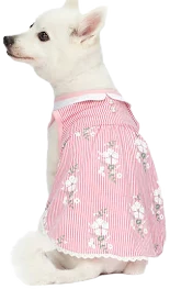 Blueberry Pet Wonderland Floral Sleeveless Dog Dress