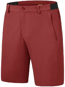 Men's Stretch Quick Dry Golf Shorts