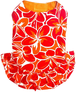 Orange Floral Dog Dress