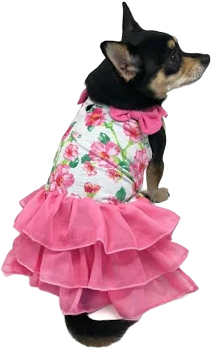 Dogo Floral Flounce Dog Dress