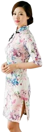 2 For 1 Women's Modern Mandarin Chinese Cheongsam Qipao Sheath Dress