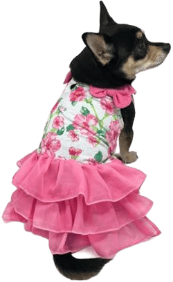 Dogo Floral Flounce Dog Dress