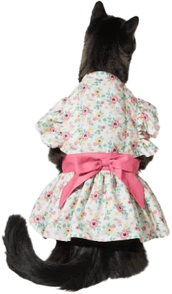 Frisco Dainty Pink Floral Dog & Cat Dress