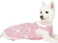 Blueberry Pet Wonderland Floral Sleeveless Dog Dress