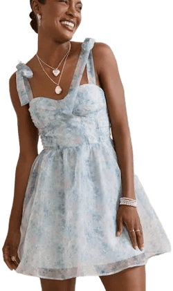 Francesca's Jackie Floral Corset Mini Dress