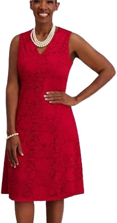 Kasper Women's V-Neck Fit-And-Flare Lace Dress