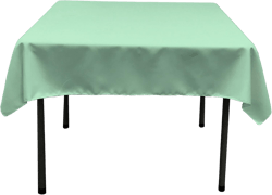 LA Linen Polyester Poplin Washable Square Tablecloth, Stain and Wrinkle Resistant Table Cover 58x58, Fabric Table Cloth for Dinning, Kitchen, Party, Holiday 58 by 58-Inch, Mint 58" x 58" (Square) Mint