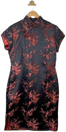 Yans NY Qipao Floral Dress