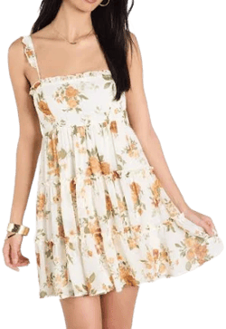 Windsor Sunshine Romance Floral Chiffon Babydoll Dress