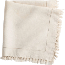 Crate & Barrel Eyelet Fringe Napkin