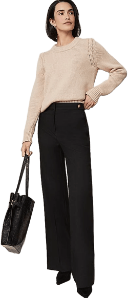 Ann Taylor Women's Tailored Wide-leg Trouser