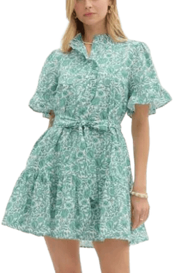 Floral Print Ruffle Sleeve Pullover Dress