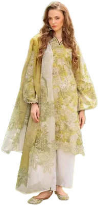 Stitched Embroidered Lawn SF-4229