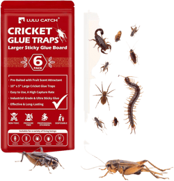 LULUCATCH Cricket Insect Glue Traps - 6 Pack Bug Cockroach Sticky Traps, Large Spider Trap with Pre-Baited Attractant, Highly Effective Glue Boards Indoor, Non-Toxic Pet Safe Pest Control Insect Traps 6 PK