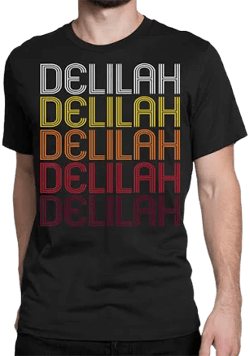 Artistshot Delilah Retro Wordmark T-Shirt