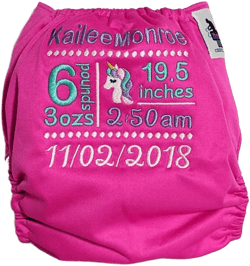 Birth Stats Cloth Diaper - Embroidered Custom Diaper - WAHM Cloth Diaper - Embroidered Diaper Cover - Custom Pocket Diaper - Custom Bloomers