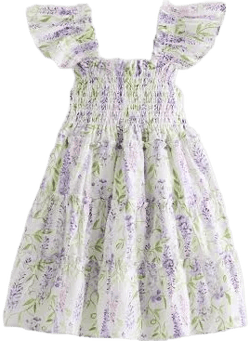 Quince Organic Cotton Smocked Poplin Dress