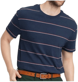 Goodfellow & Co Standard Striped Short Sleeve Crewneck T-shirt