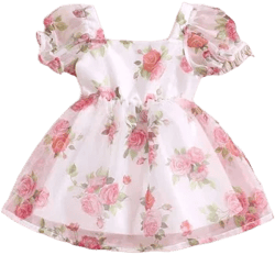 Baby Girl Floral Organza Bubble Sleeve Dress