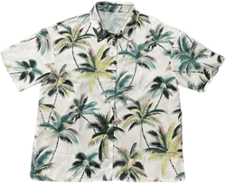 Unbranded Men's Floral Print Short Sleeve Button Down