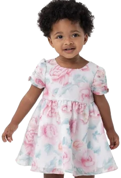 Rare Editions Baby Girl Floral Organza Dress