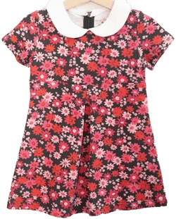 Retro Mod Floral Dress