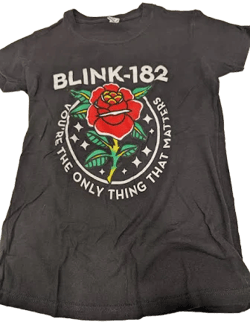 Blink 182 You're The Only Thing That Matters Graphic T-Shirt