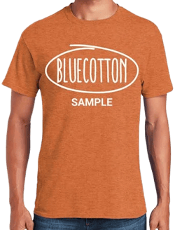 Gildan Heavy Cotton T-Shirt
