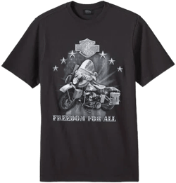 Harley-Davidson Men's Freedom for All Tee Shirt