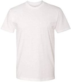 Next Level Cotton T-Shirt