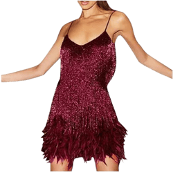 Teressa Feather Tassel Sequin Mini Dress