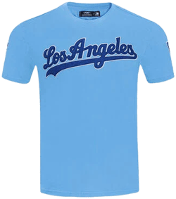 Pro Standard Men's Los Angeles Dodgers Classic Chenille T-Shirt